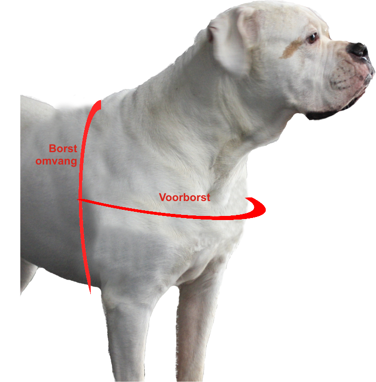 MAZTER LEAD anti trek tuig AANMETEN