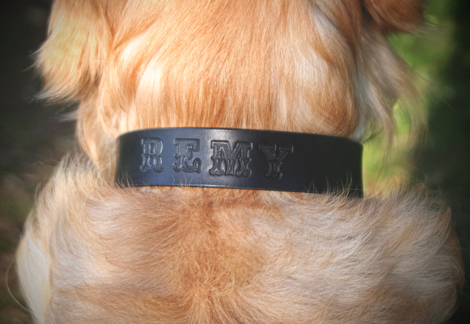 Leren handgemaakte zwarte halsband met tekst remy om lichte hond